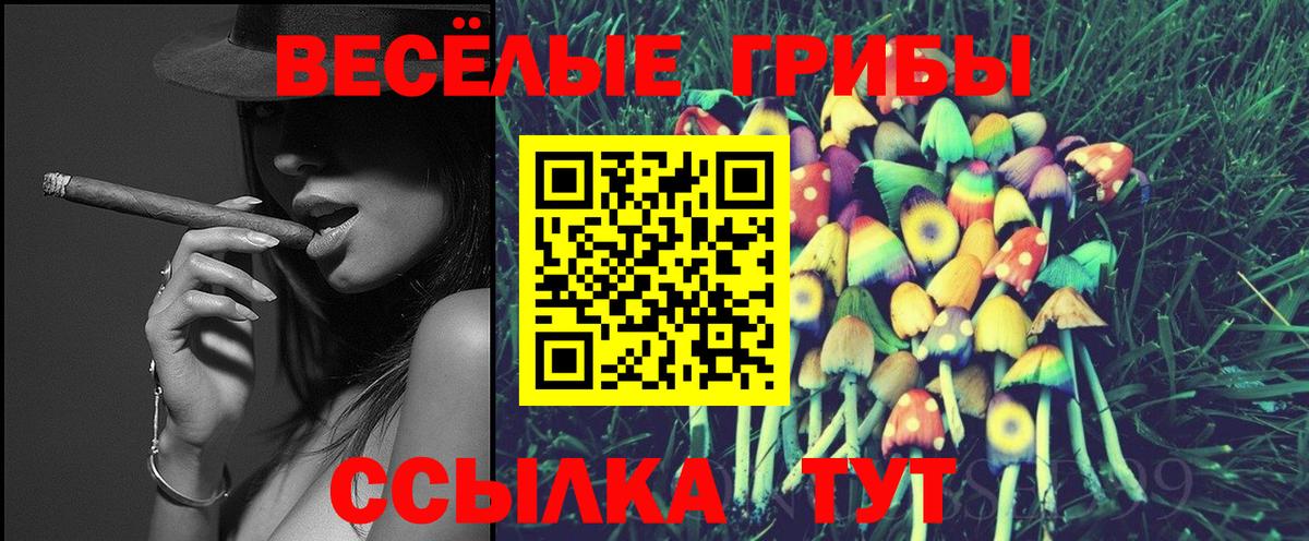 Галлюциногенные грибы MAGIC MUSHROOMS  где продают   Каменск-Шахтинский  Вход с VPN 
